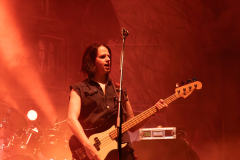 1N3A4008-Verbessert-RR-2