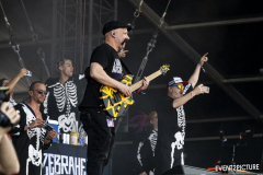 Zebrahead_DB2024-DSC_7664-20240720