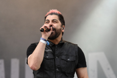 Zebrahead_563