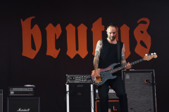 Brutus-8