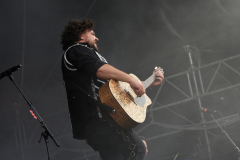 Paddy-and-the-Rats-1