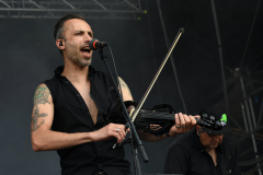 Paddy-and-the-Rats-4