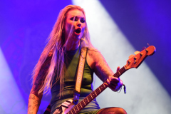 The-Baboon-Show-8