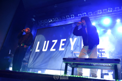 Luzey_12