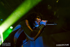 Baboon_Show-Pavillion-DSC_0397-2025