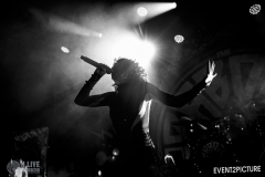 Baboon_Show-Pavillion-DSC_0463-2025-2