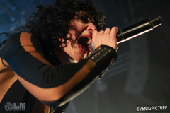 Baboon_Show-Pavillion-DSC_0484-2025