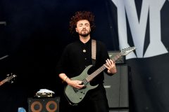 A-Burning-Rose-Mittwoch-01-