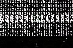 20251126_Kraftwerk_BS-04