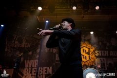 2023_Portfolio_ConcertPhotos-Germany-05