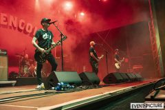 Millencolin-RaR2025-08.-Juni-2025-DSC_1395