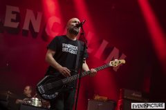 Millencolin-RaR2025-08.-Juni-2025-DSC_1406