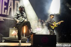 Zebrahead-RaR2025-07.-Juni-2025-DSC_1299