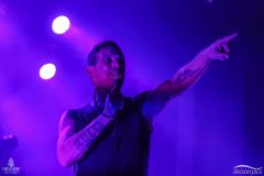 SZ_AlexMofaGang_0003