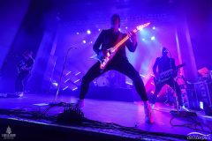 SZ_RoyalRepublic_0081