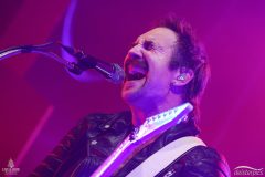 SZ_RoyalRepublic_0127