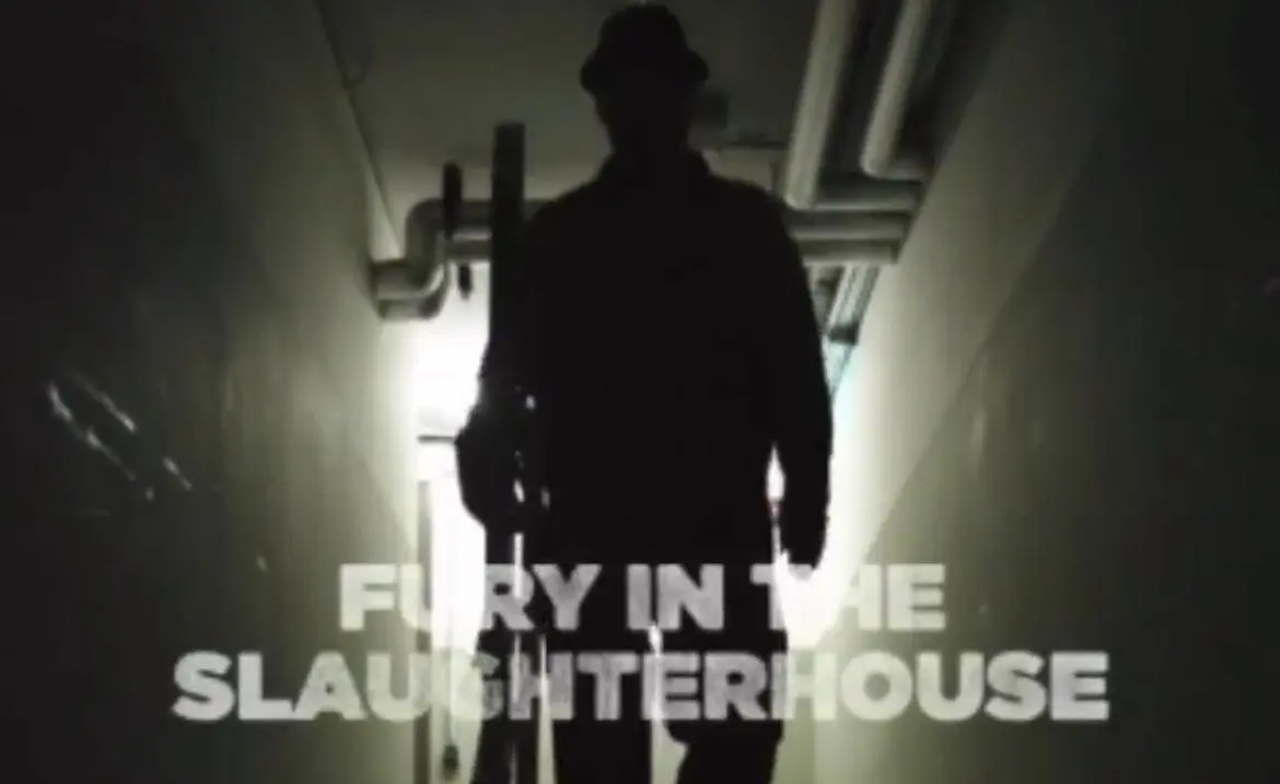 Fury sagt: SAVE THE DATE