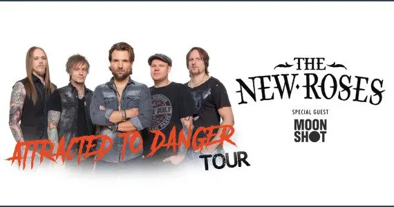The New Roses im November Live in Hannover