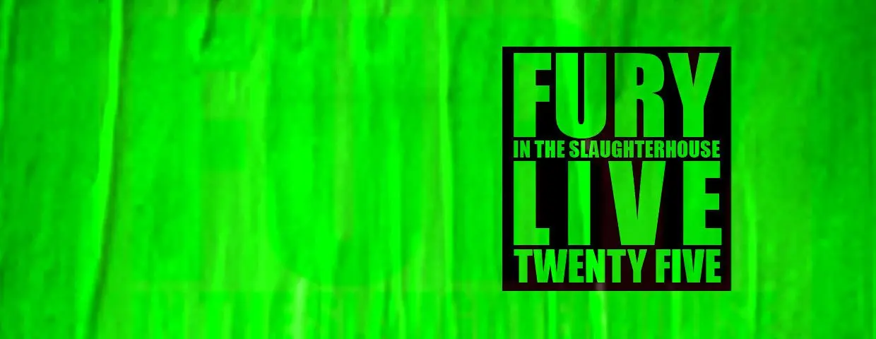 Fury in the Slaughterhouse gehen auf Twentyfive Tour